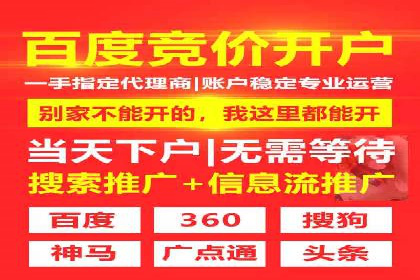某电商平台的SEM推广实战经验